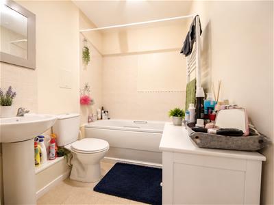 Picture 7